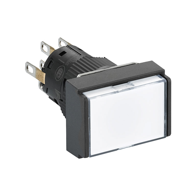 Schneider/Schneider Electric domestic XB6EDW plastic one-piece rectangular self-resetting button with light