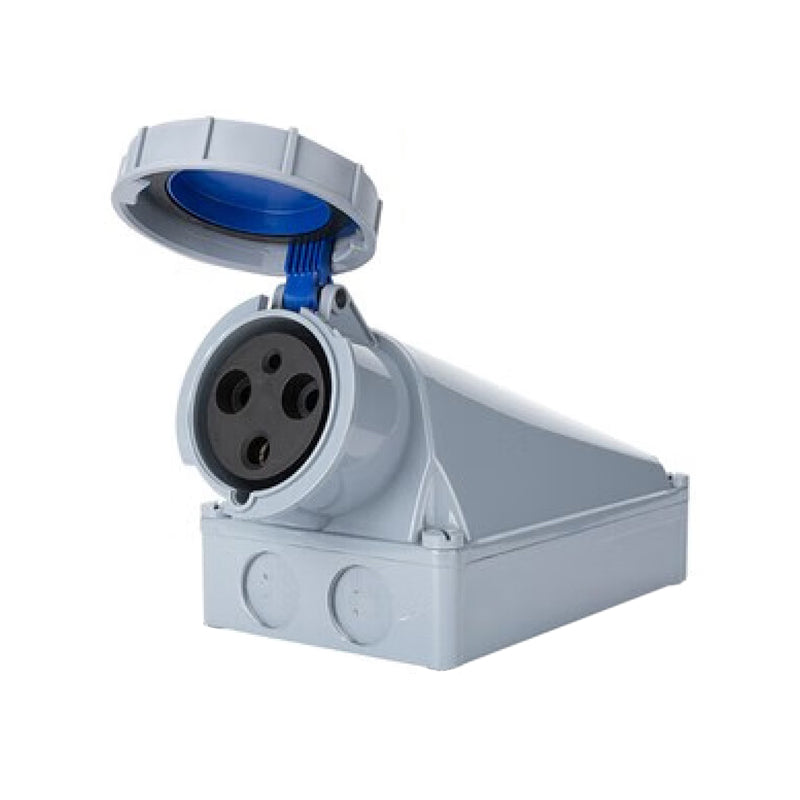 DELIXDEP2 Industrial Surface Mount Socket 2P+E