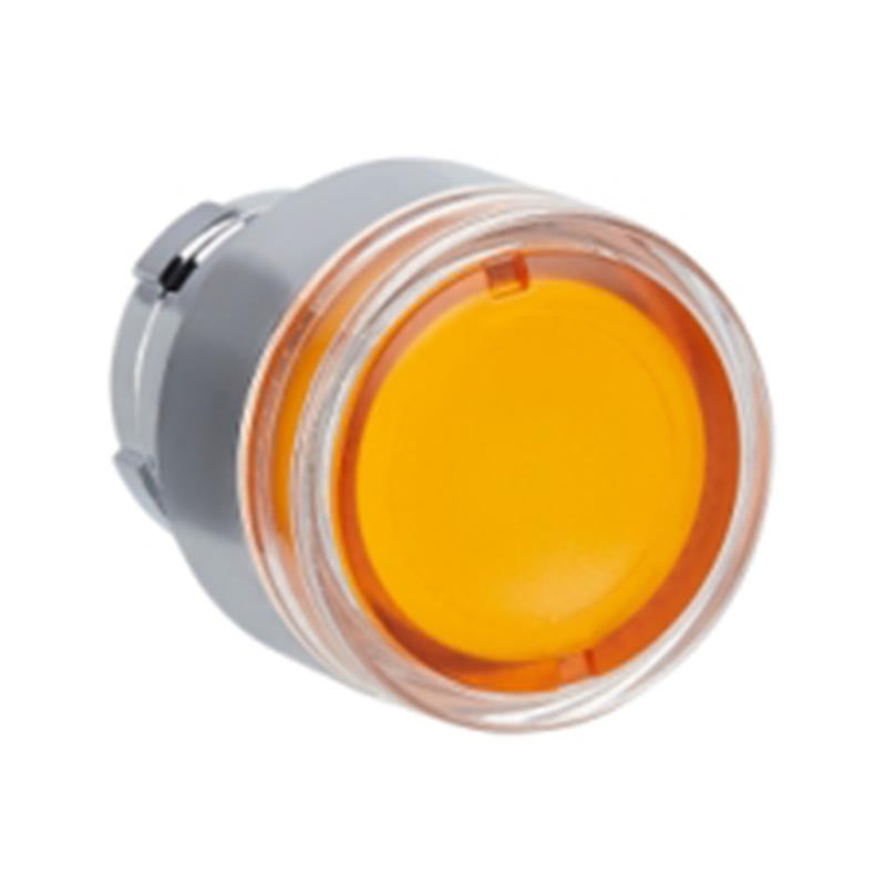 Schneider/Schneider Electric XB2BW flat head with light button head