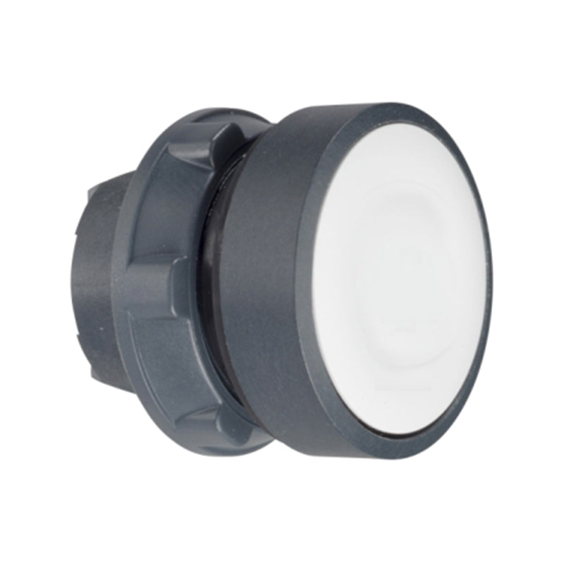 Schneider/Schneider Electric domestic XB5 series illuminated flat button head