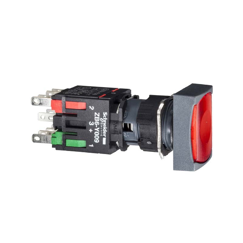 XB6DW Push Button