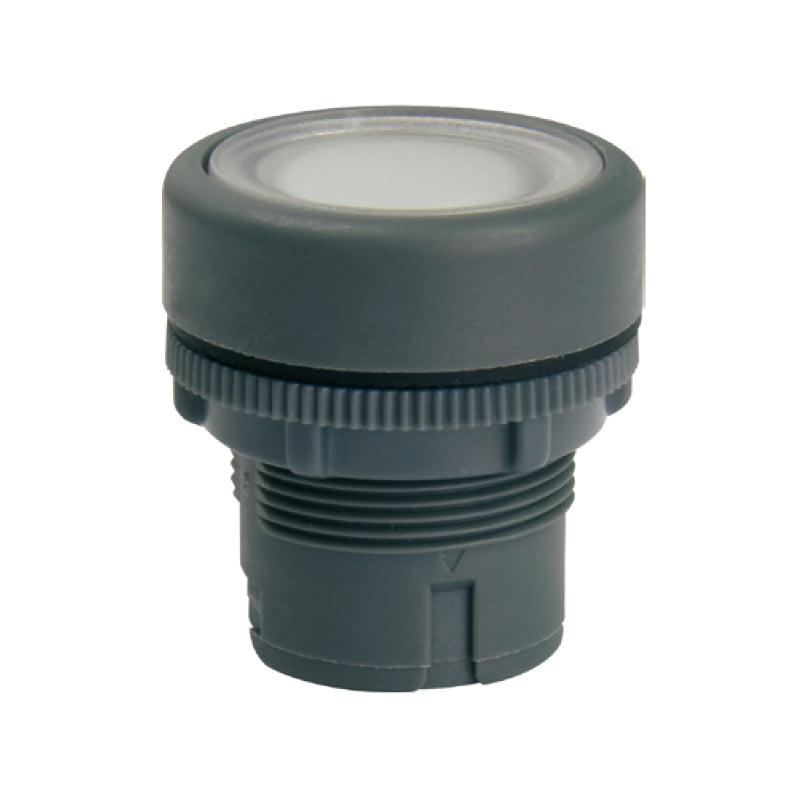 RP22 Push Button