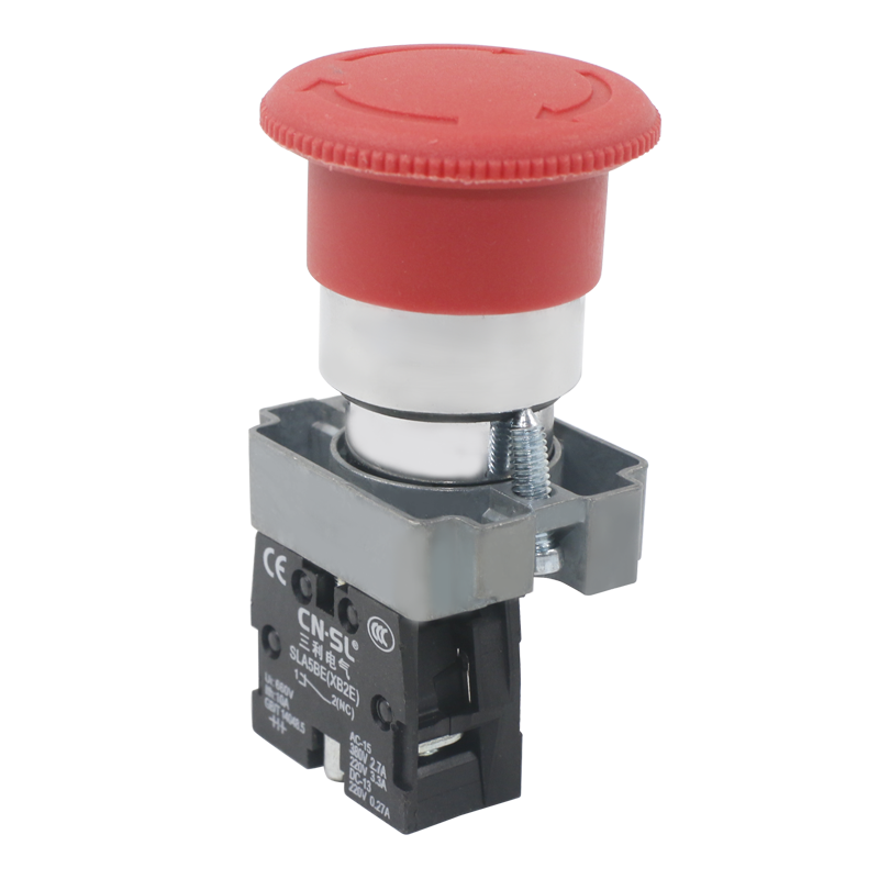 10_CNSL_22MM_SLA5BE-01ZS - DDY GROUP CO.,LTD.