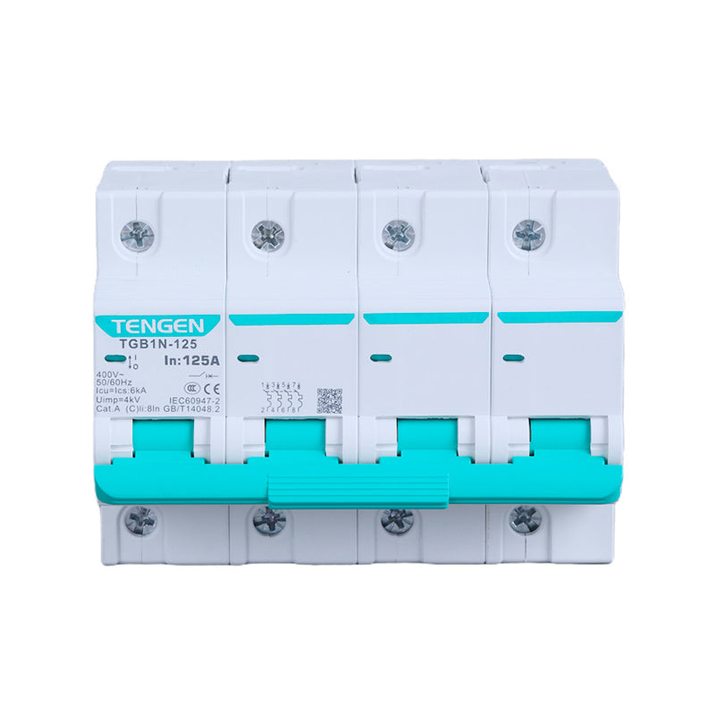 TGB1N-125 Circuit Breaker