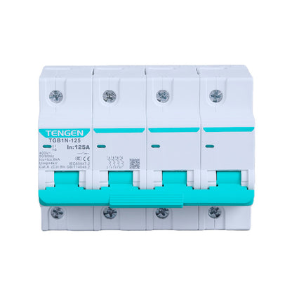 TGB1N-125 Circuit Breaker