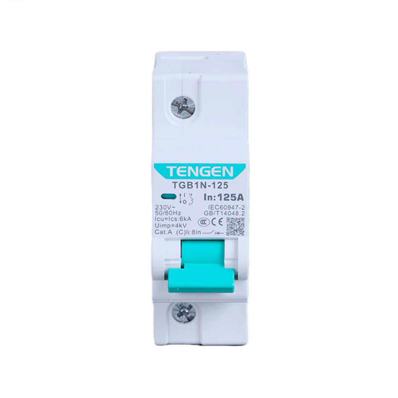 TGB1N-125 Circuit Breaker