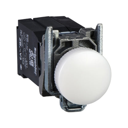 XB4BV Indicator Light