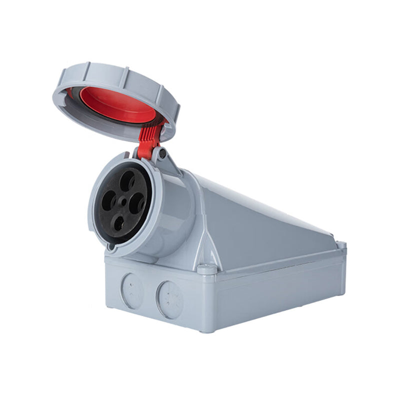 DELIX DEP2 Industrial Surface Mount Socket 3P+E