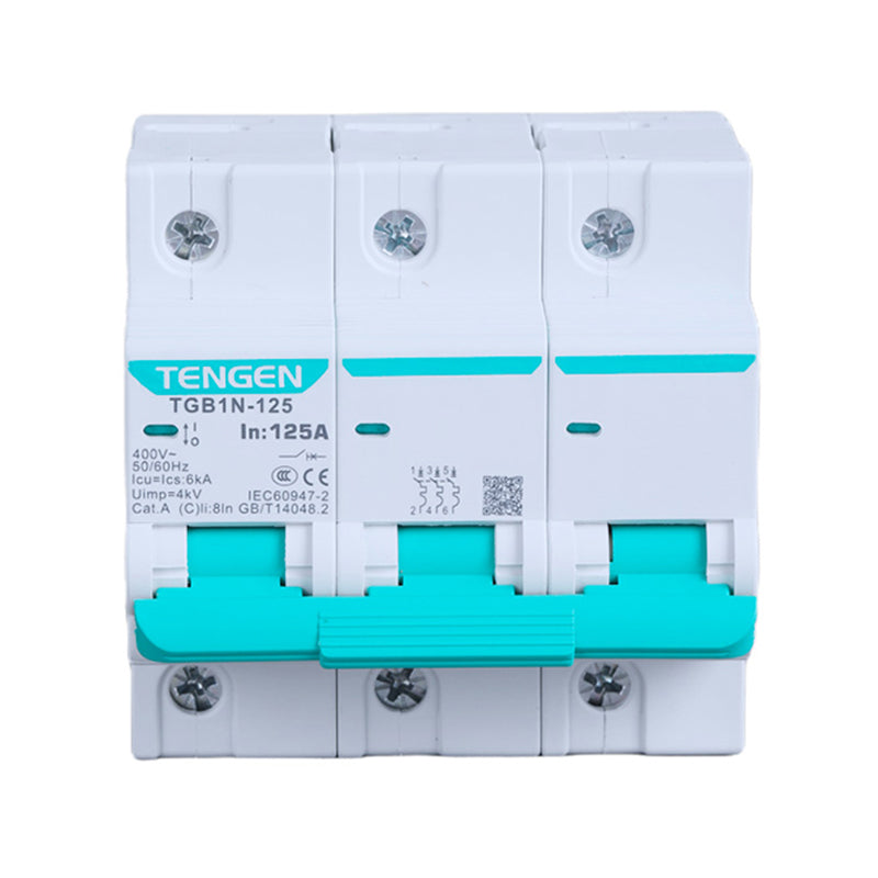 TGB1N-125 Circuit Breaker