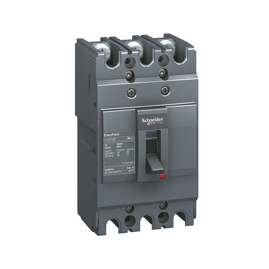 Schneider CVS B 25kA Molded case circuit breaker