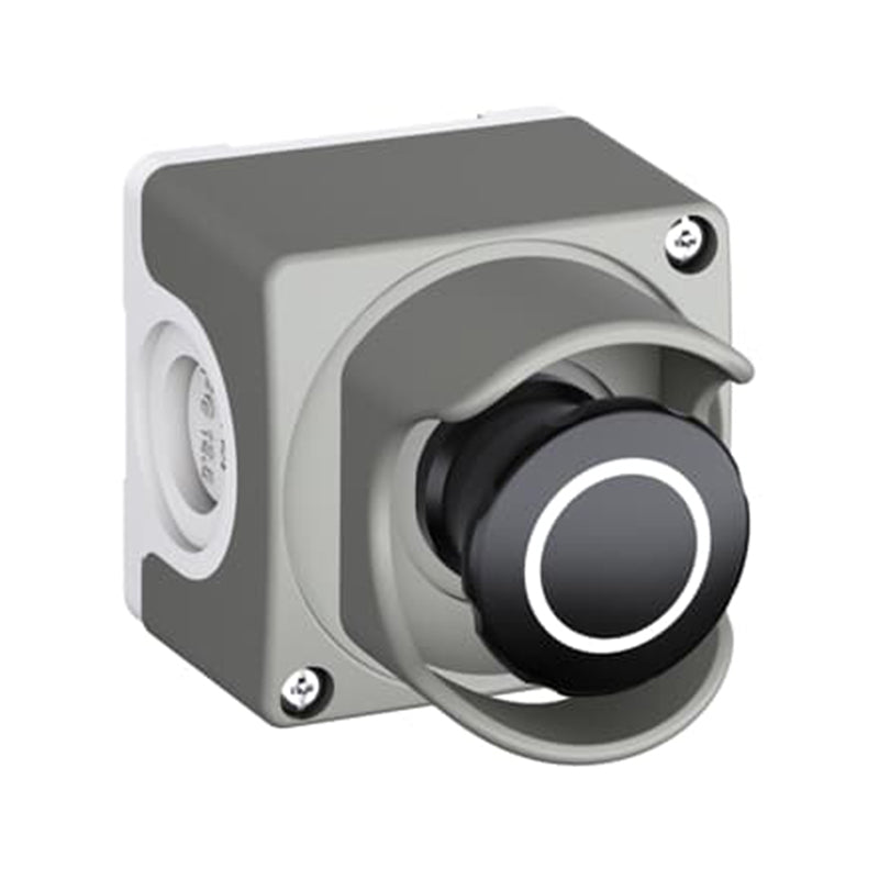 C Push Button (+)