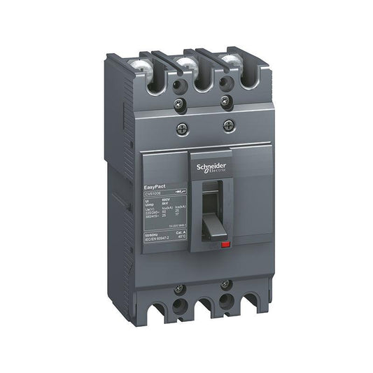 Schneider CVS FS 35kA Molded case circuit breaker