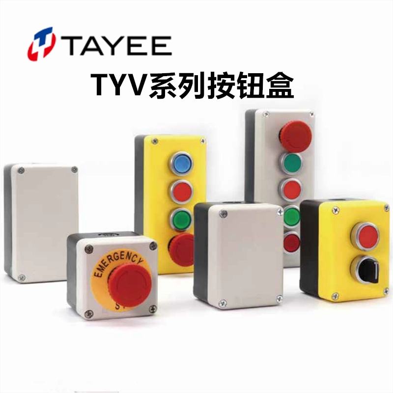 Tianyi Electrical TYV button box