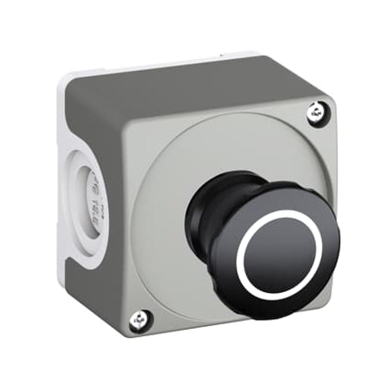 C Push Button (+)