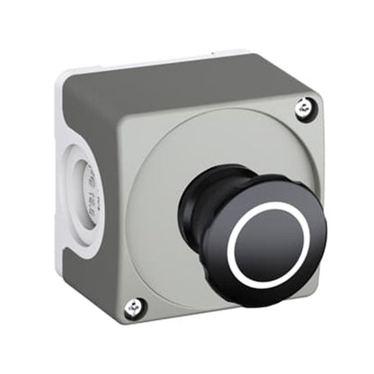 C Push Button (+)