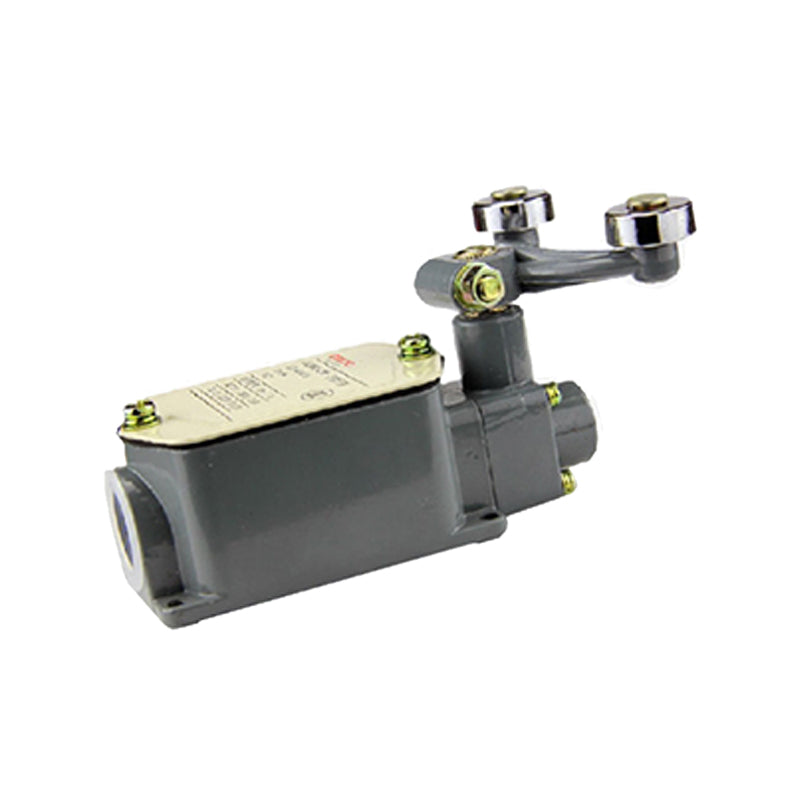 JLXK1 Switch
